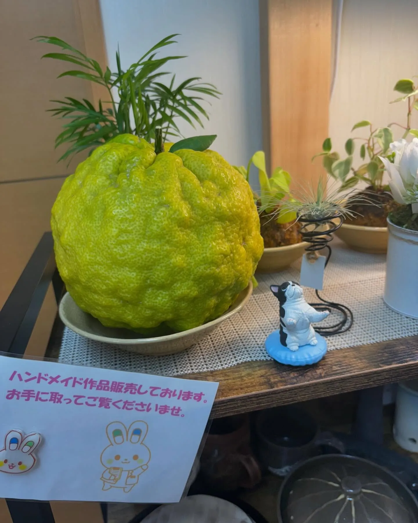 100日 インスタを頑張る薬局<49日目>